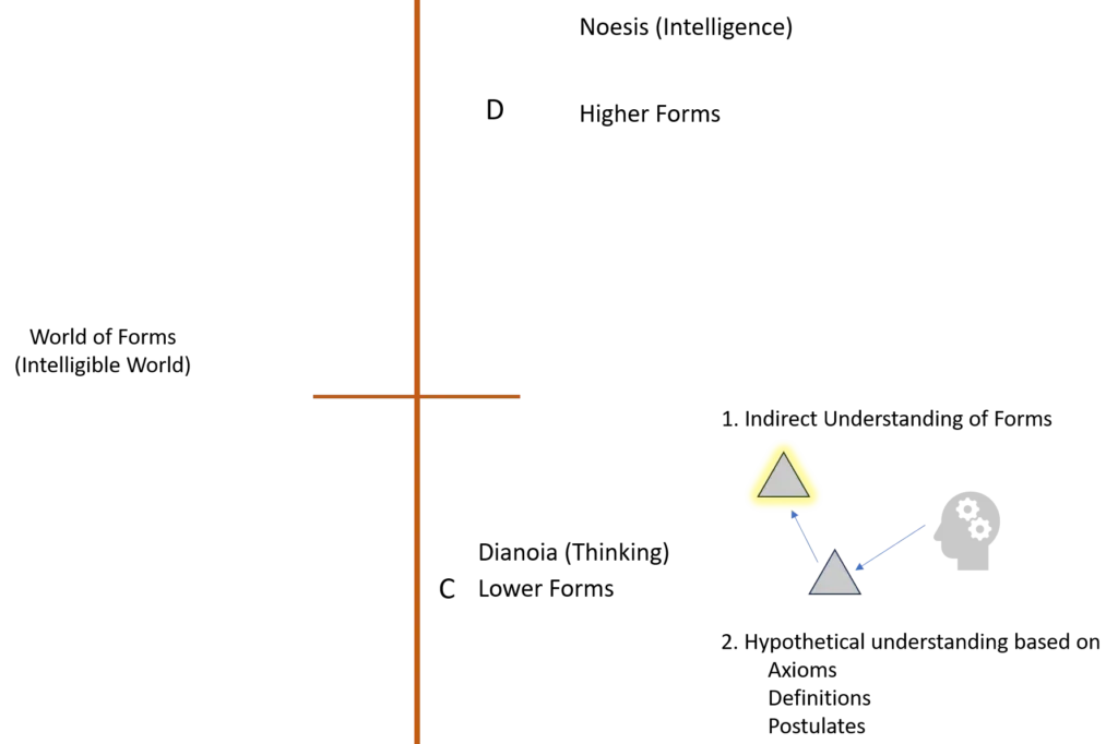 Divided Line Section C Mathematical and Scientific Concepts